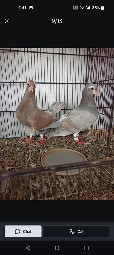 khal pair