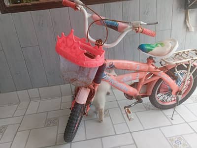 girls bicycle