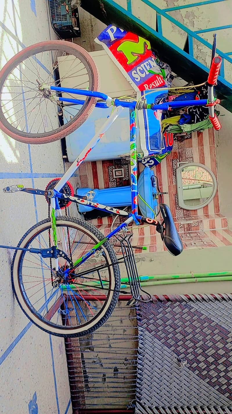 Bicycle 1