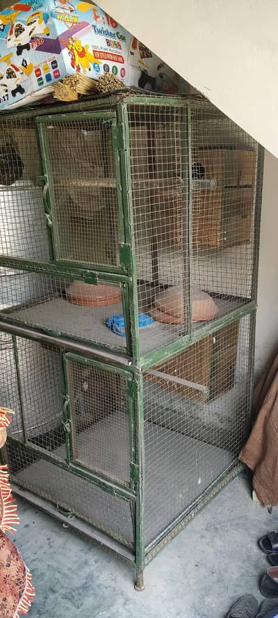 birds cage
