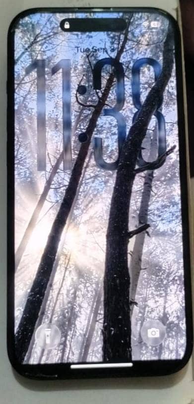 Apple iPhone 15 4
