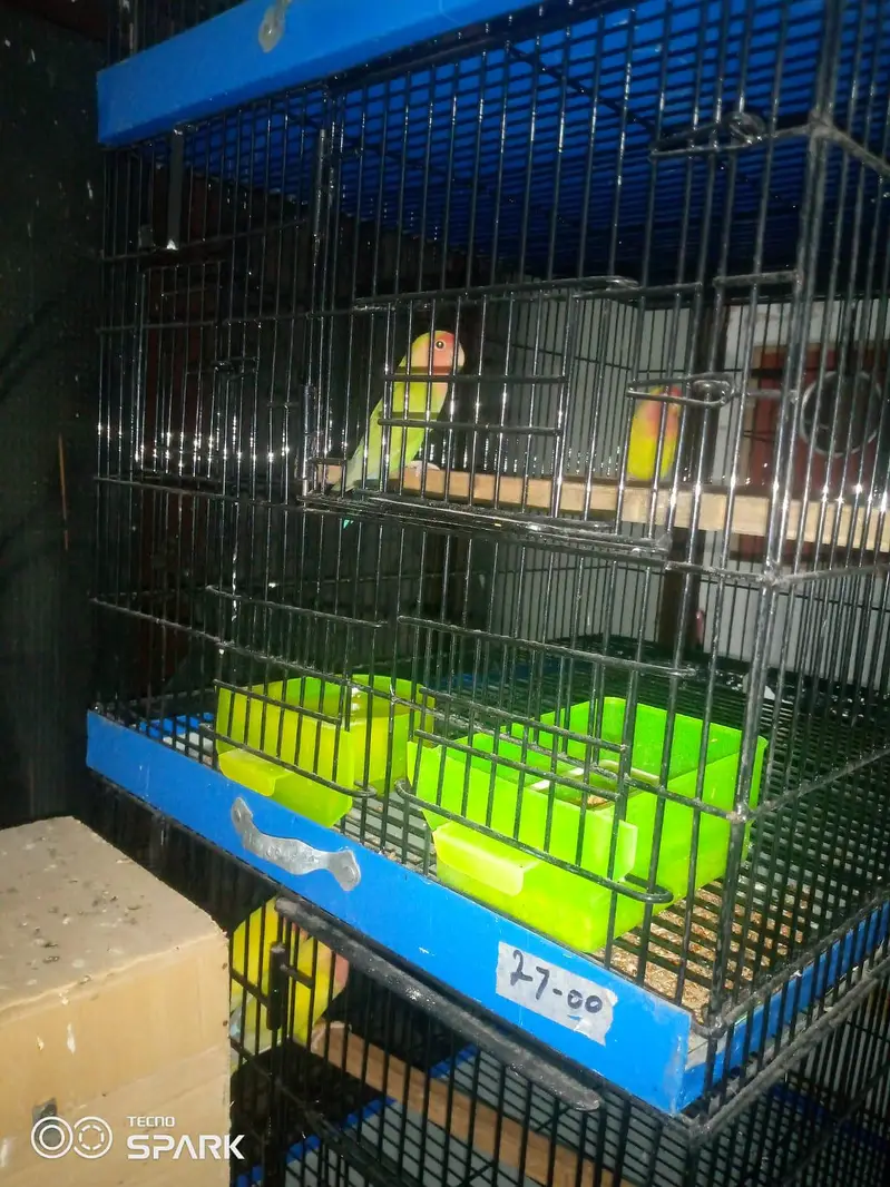 5 cages