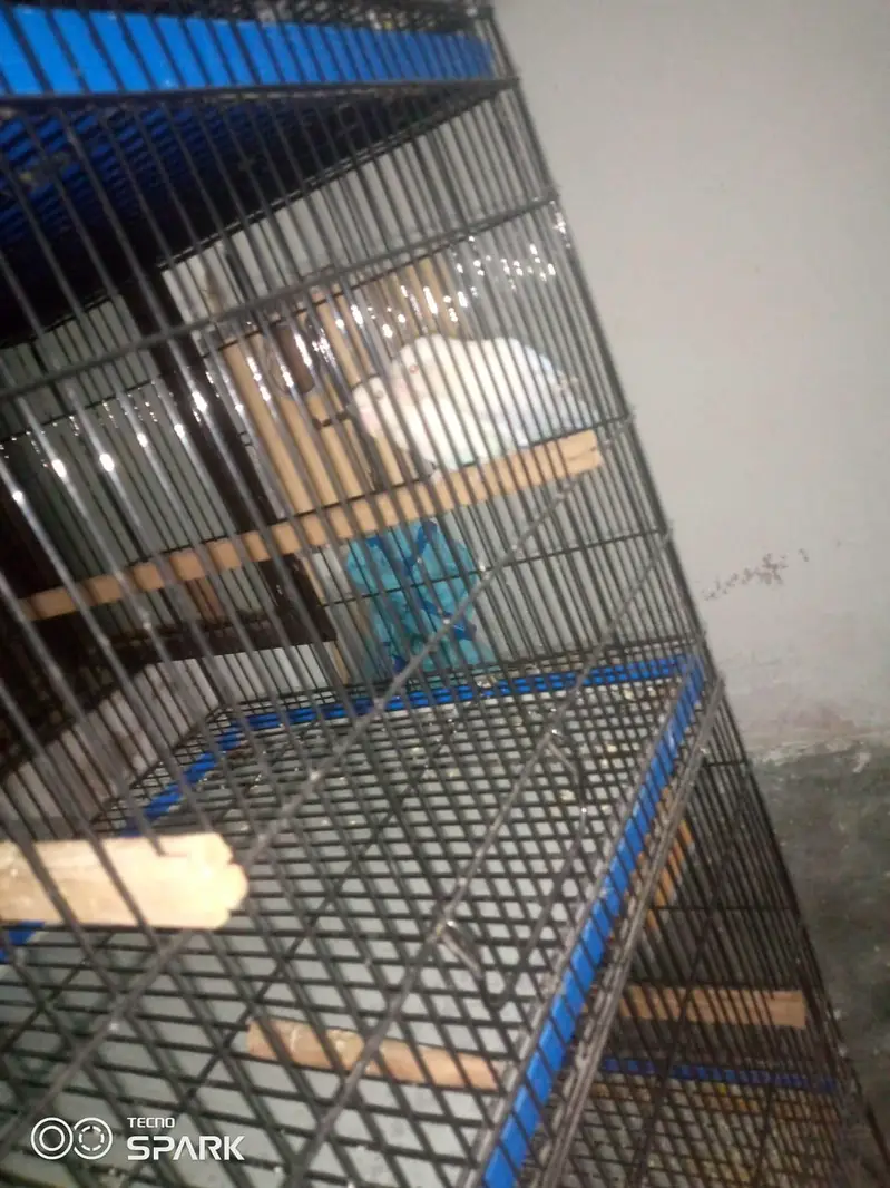 5 cages — photo 2