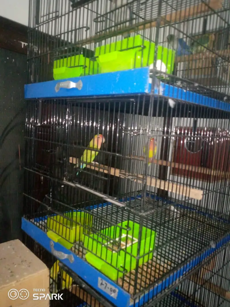 5 cages — photo 3
