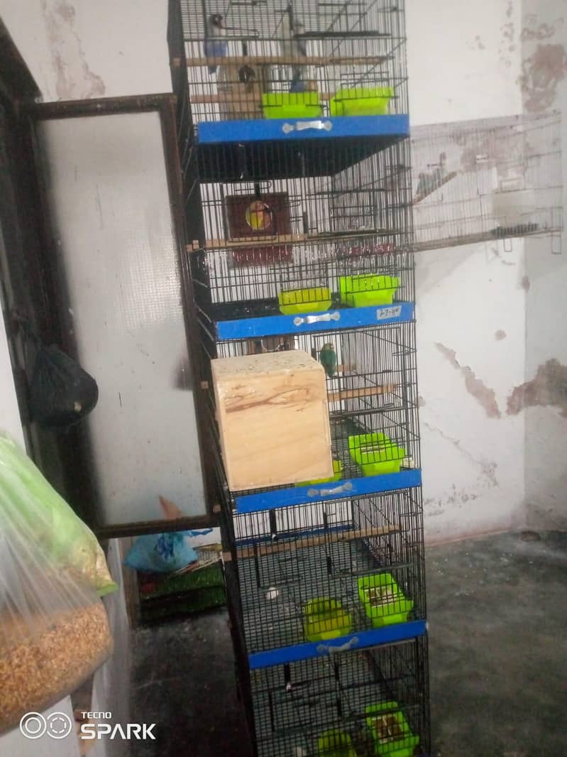5 cages 4