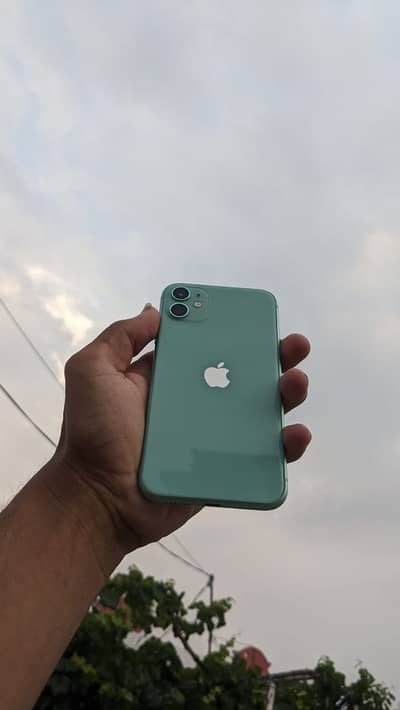 WhatsApp only 03180515398