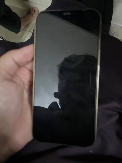 Apple iPhone 12 Pro Max