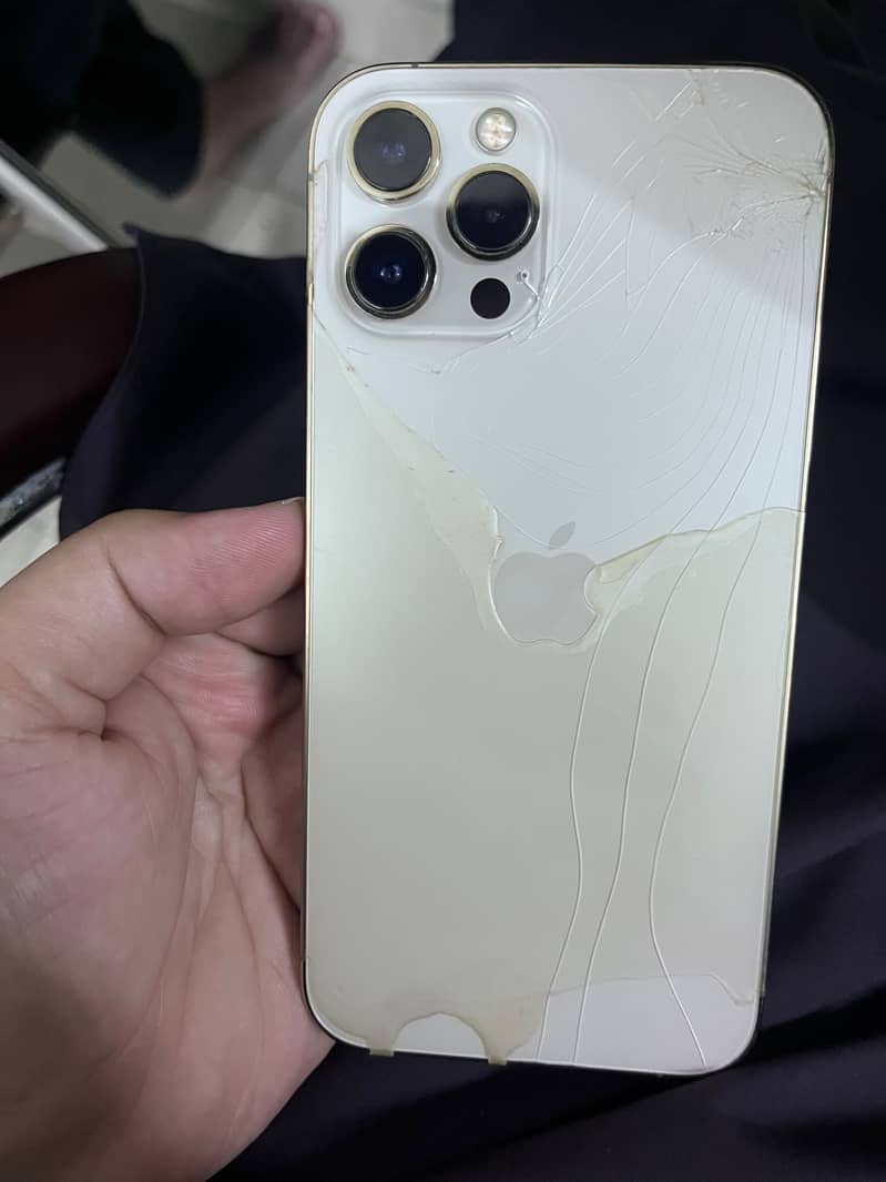 Apple iPhone 12 Pro Max 2