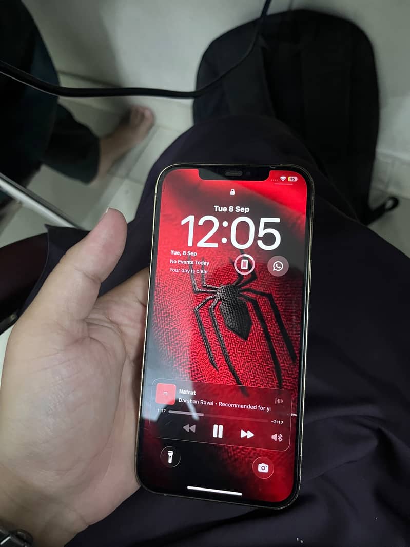 Apple iPhone 12 Pro Max 3