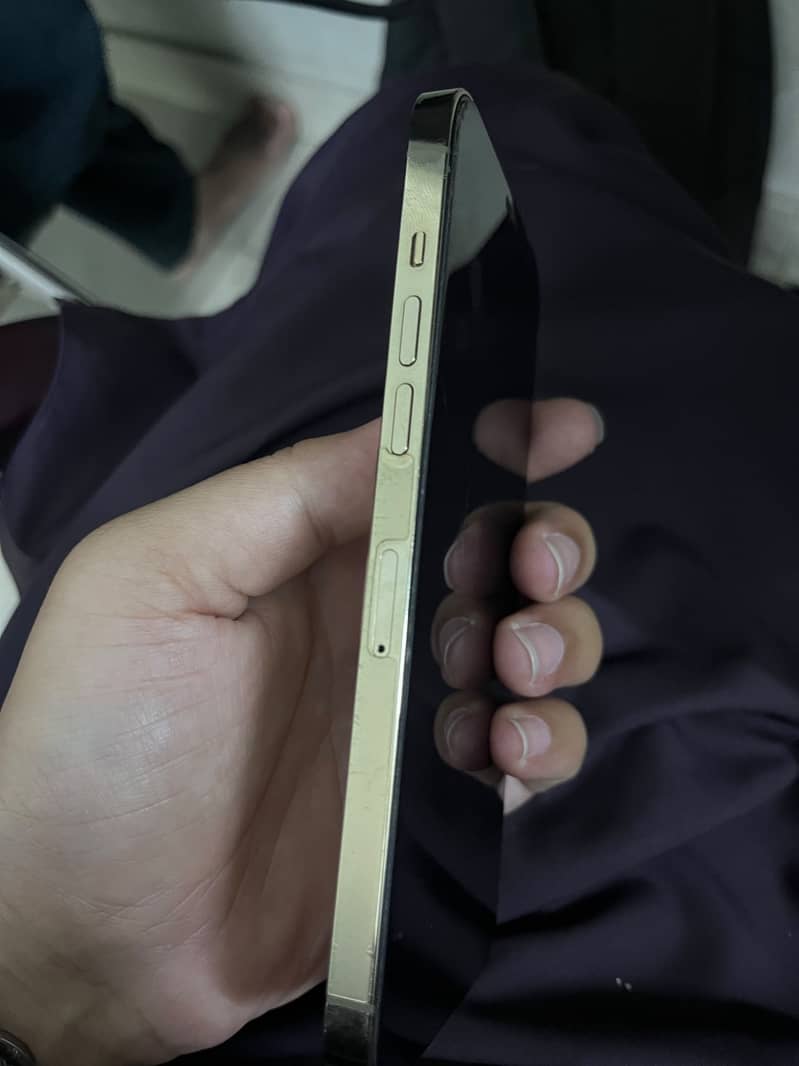 Apple iPhone 12 Pro Max 4