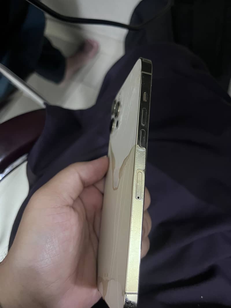 Apple iPhone 12 Pro Max 5