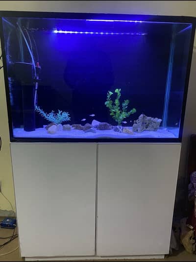 Fish AQUARIUM