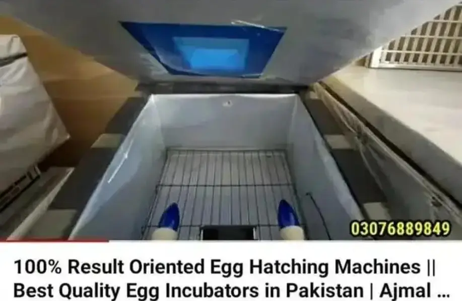 Energy saver incubator 10 watt | Egg hatching| egg machine| incubator — photo 12