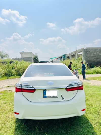Toyota Corolla GLI 2017/18 No Touching