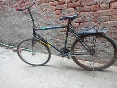 Phonex cycle