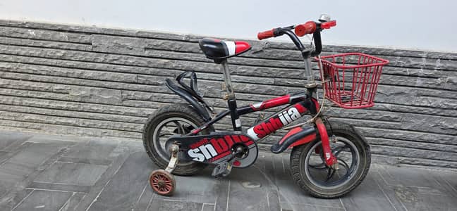 Boy and Girl Bicycles