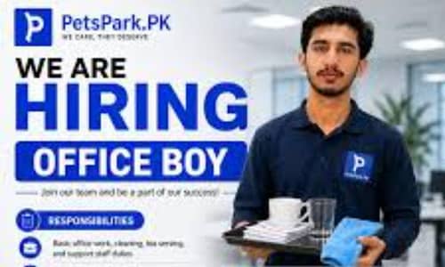 office Boy
