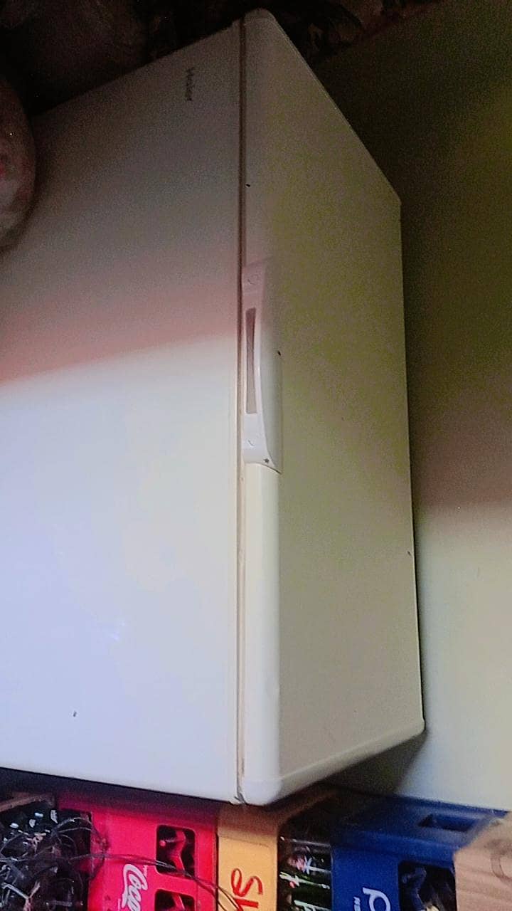 dp freezer 0