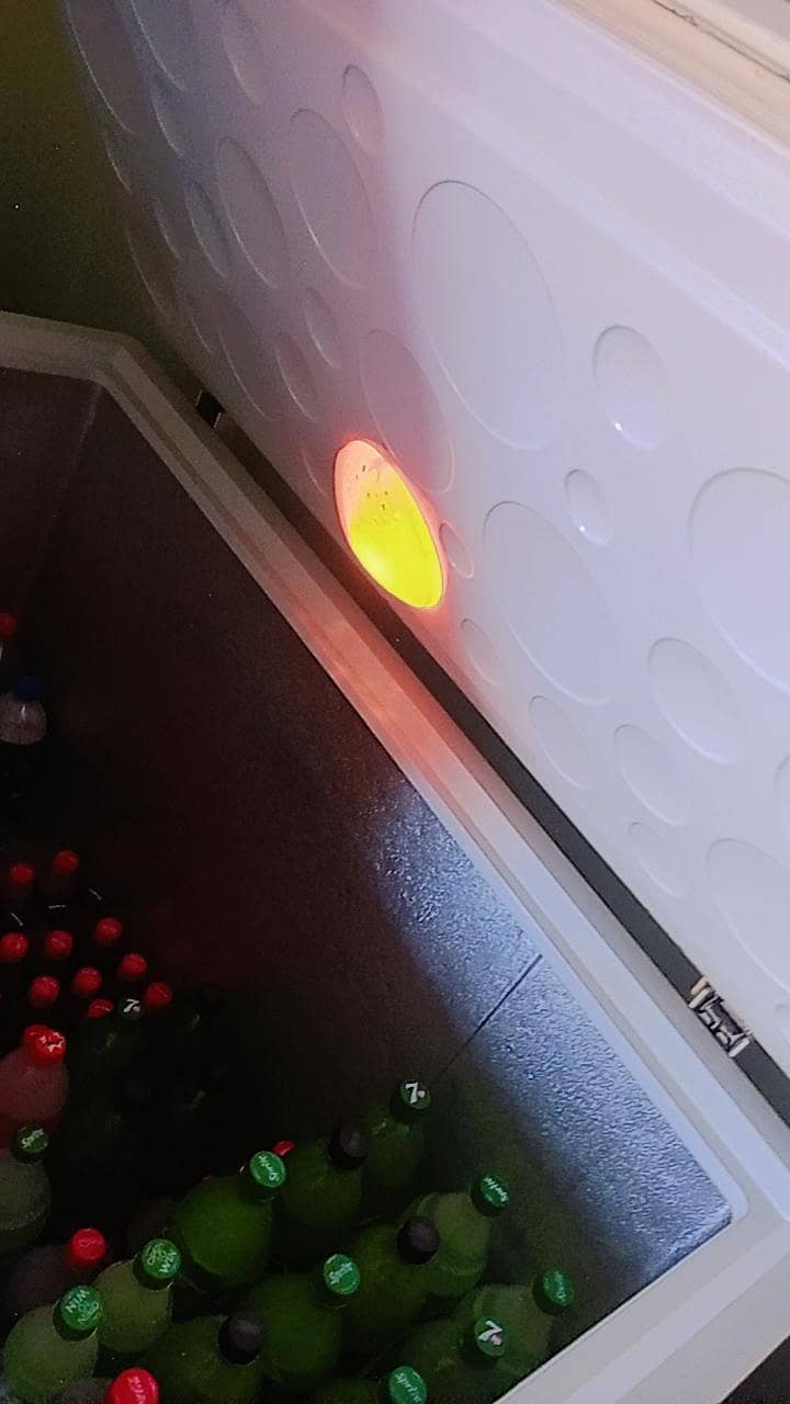dp freezer 1