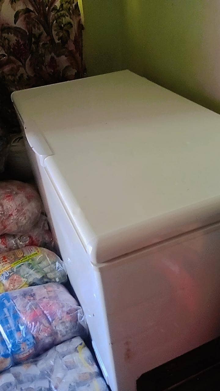 dp freezer 3