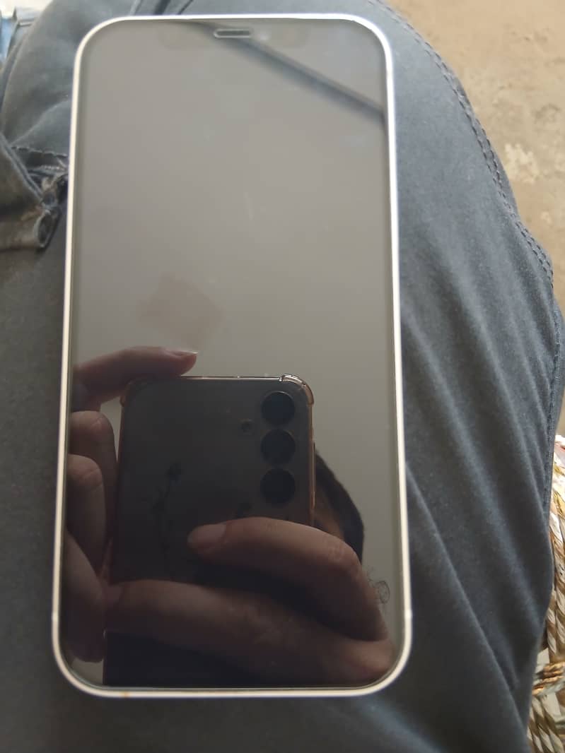 Apple iPhone 12 1