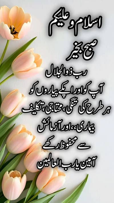 Retired Army driver near Green city Lahore