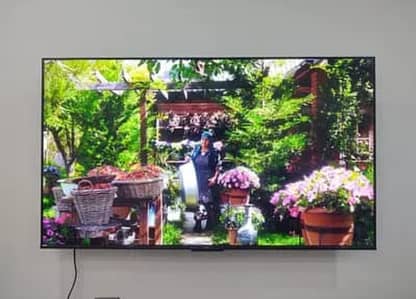 65 inch OLED