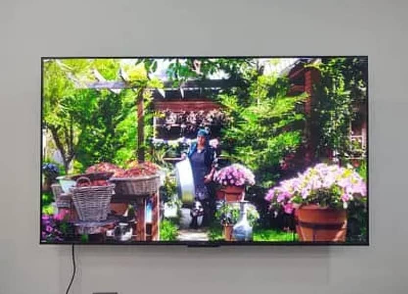 65 inch OLED 0