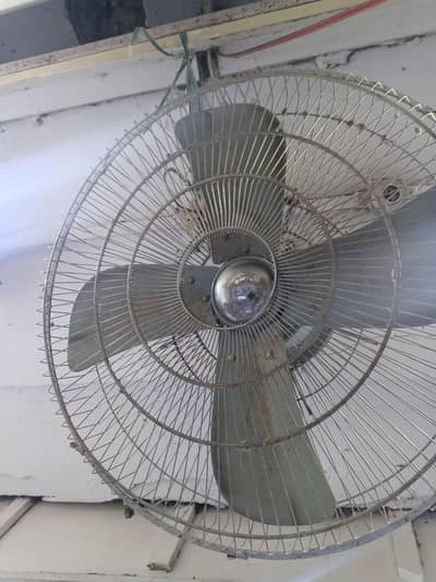 VIp fan