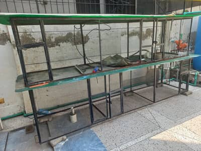 Birds Cage