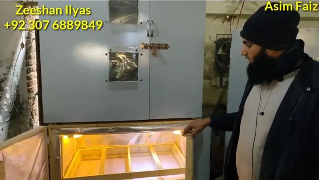 Energy saver incubator 10 watt | Egg hatching| egg machine| incubator — photo 12