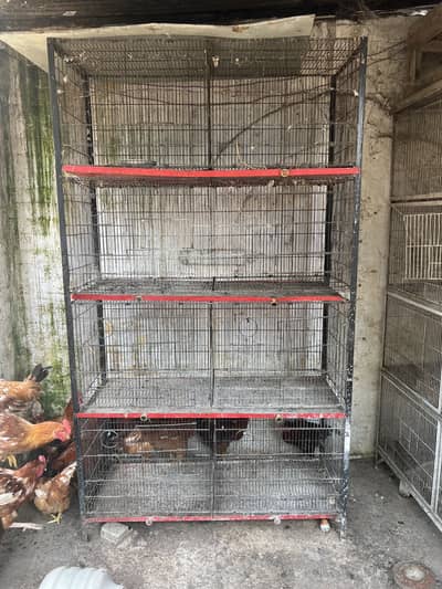 Cage total 8 portions