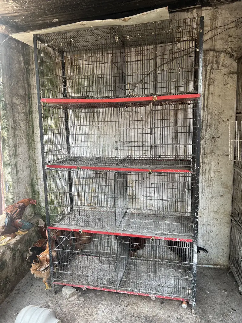 Cage total 8 portions — photo 2