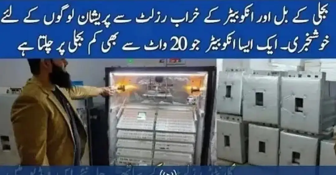 Energy saver incubator 10 watt | Egg hatching| egg machine| incubator — photo 3