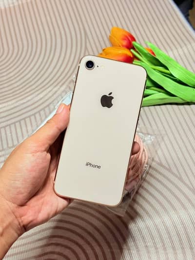 Apple iPhone 8 PTA approved with box WhatsApp 0342←⁠61_⁠74←742