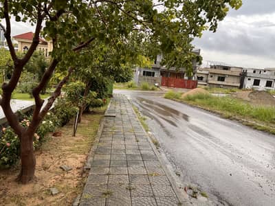 28 Marla Plot With 80 Feet Front, Solid, Level, Sun Facing Hot Location. Dem 4.60 Cr Negotiable