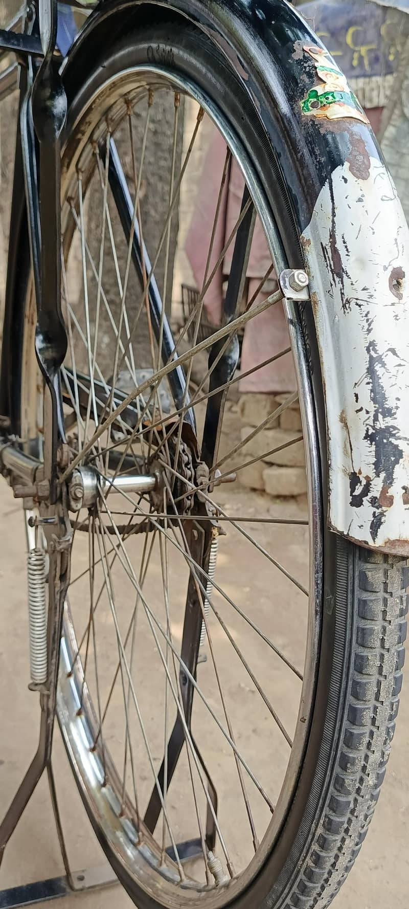 Sohrab cycle 11