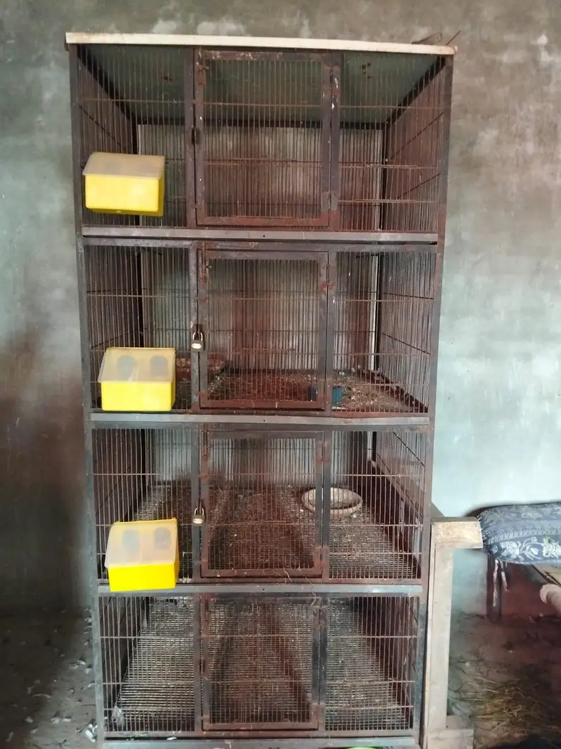4 potion cage for sale — photo 3