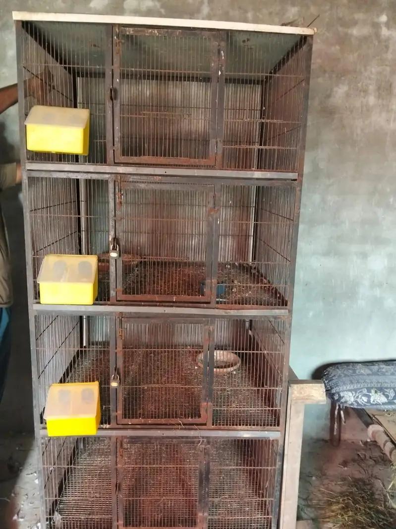 4 potion cage for sale — photo 4