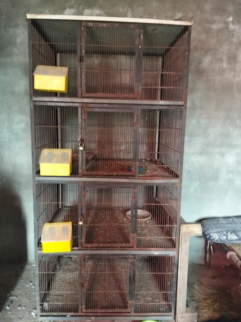 4 potion cage for sale — photo 5