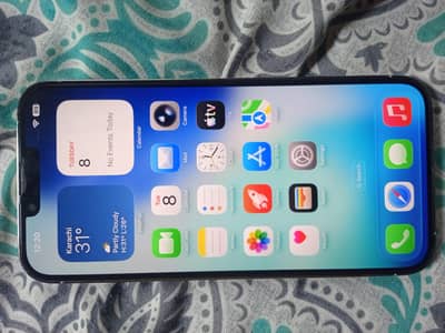 Apple iPhone 13 Pro Max