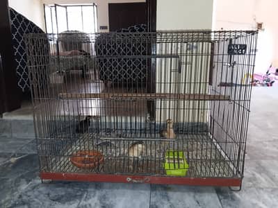 Used birds cage in good condition