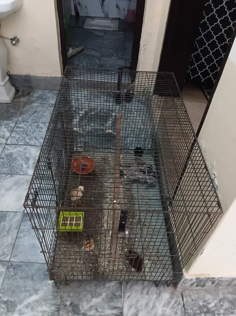 Used birds cage in good condition — photo 3