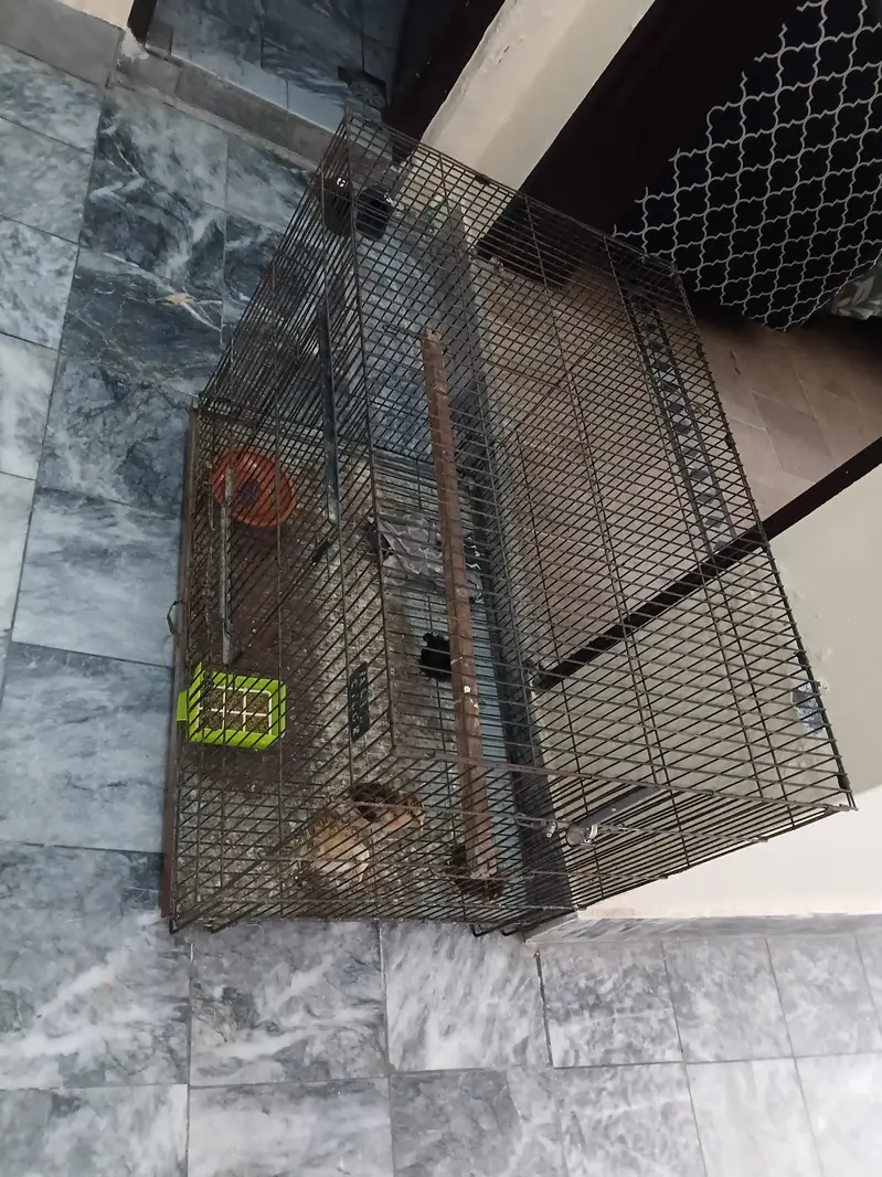 Used birds cage in good condition — photo 4