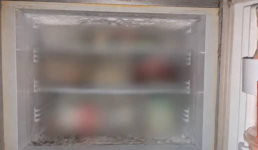 PEL Large Size Double Door Refrigerator,