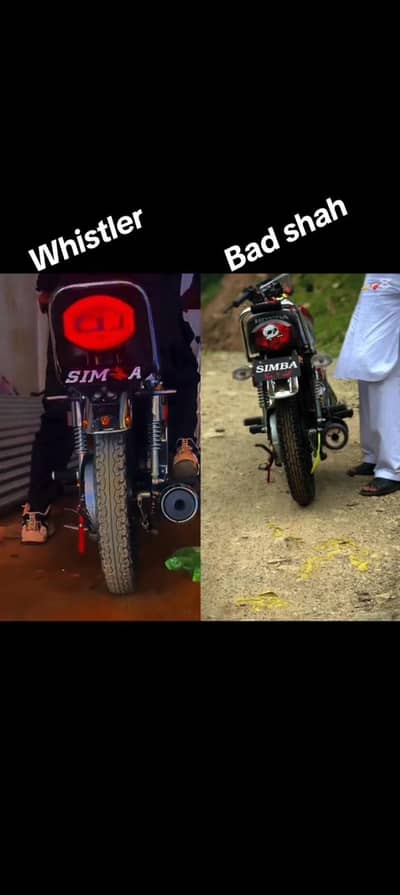 wisler vs badsha