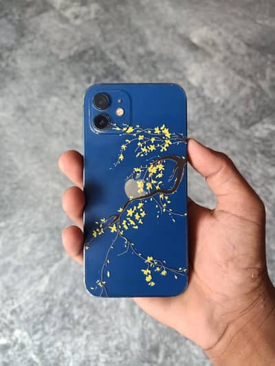 Apple iPhone 12 Non PTA factory unlocked call and WhatsApp0302.5502670