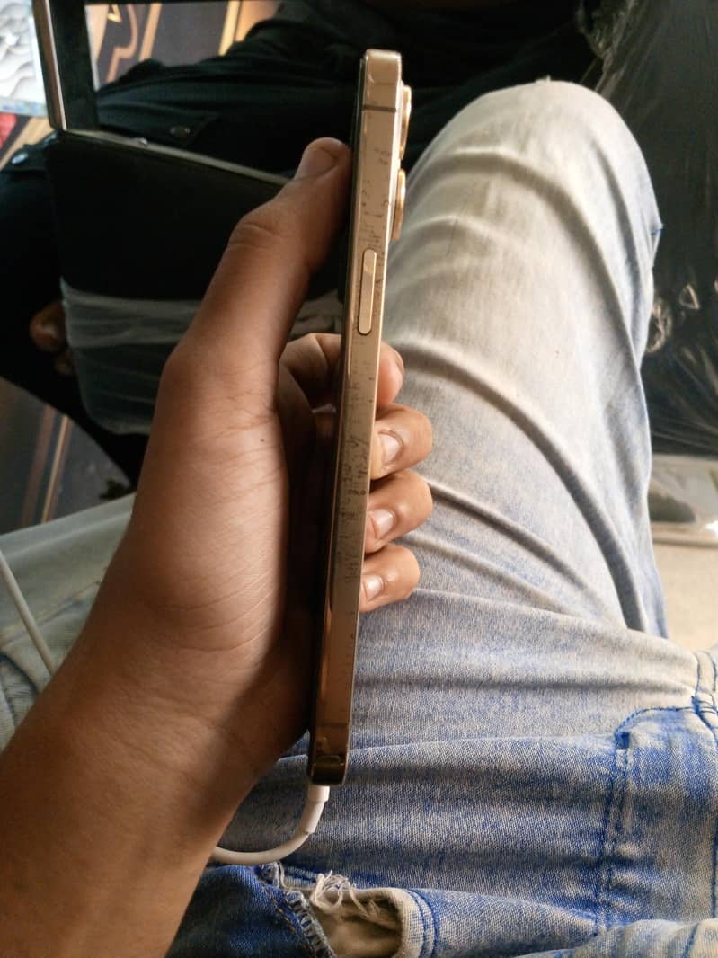 Apple iPhone 12 Pro Max 1