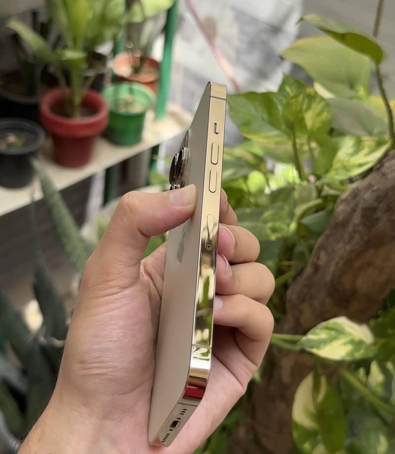 Apple iPhone 13 Pro 2