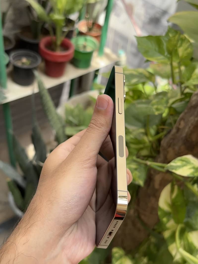 Apple iPhone 13 Pro 1